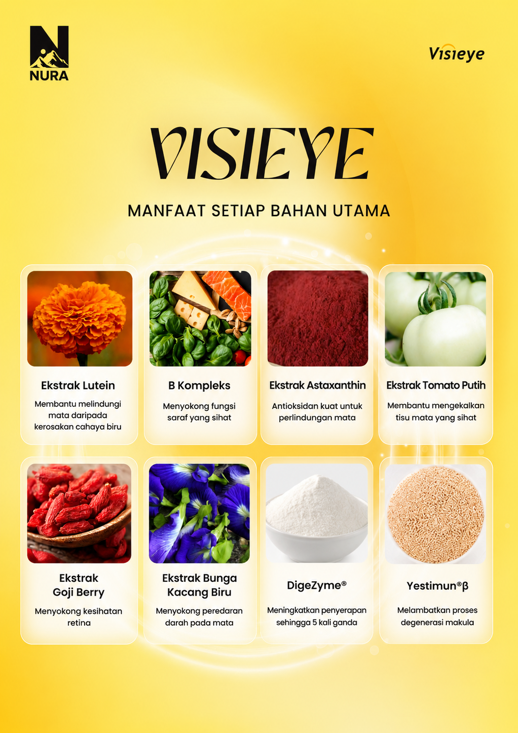26 Bahan VisiEye