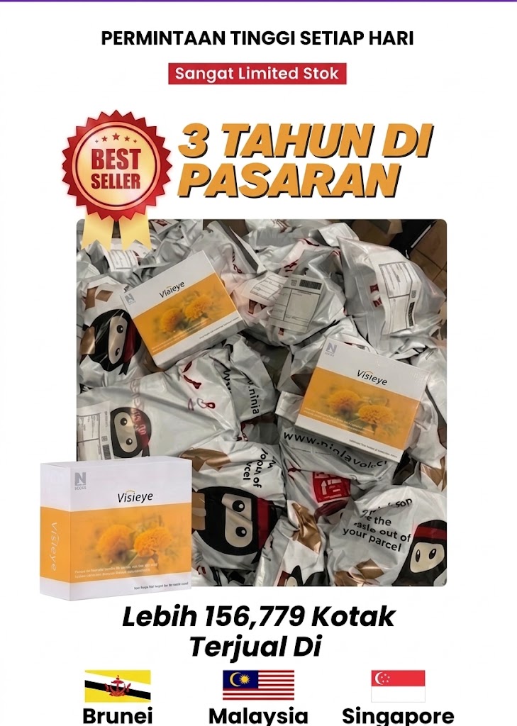 Stok VisiEye